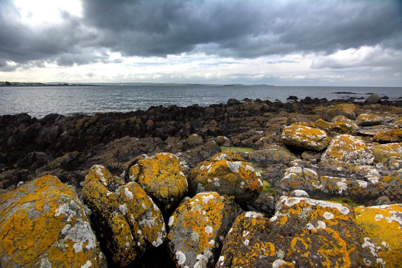 Tern Cottage Groomsport Экстерьер фото